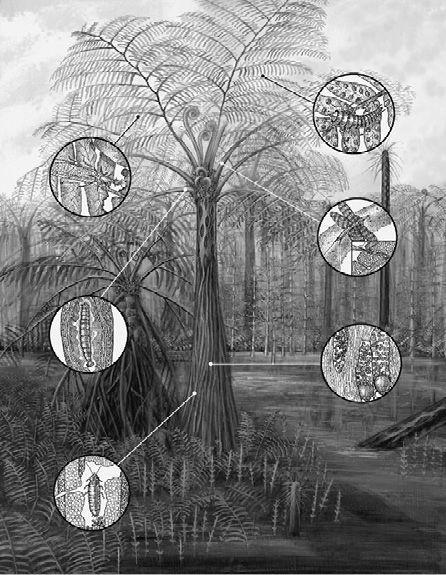 e-o-edward-o-wilson-the-social-conquest-of-earth-37.jpg