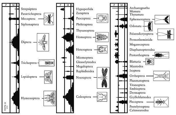 e-o-edward-o-wilson-the-social-conquest-of-earth-38.jpg