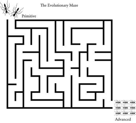 e-o-edward-o-wilson-the-social-conquest-of-earth-6.jpg