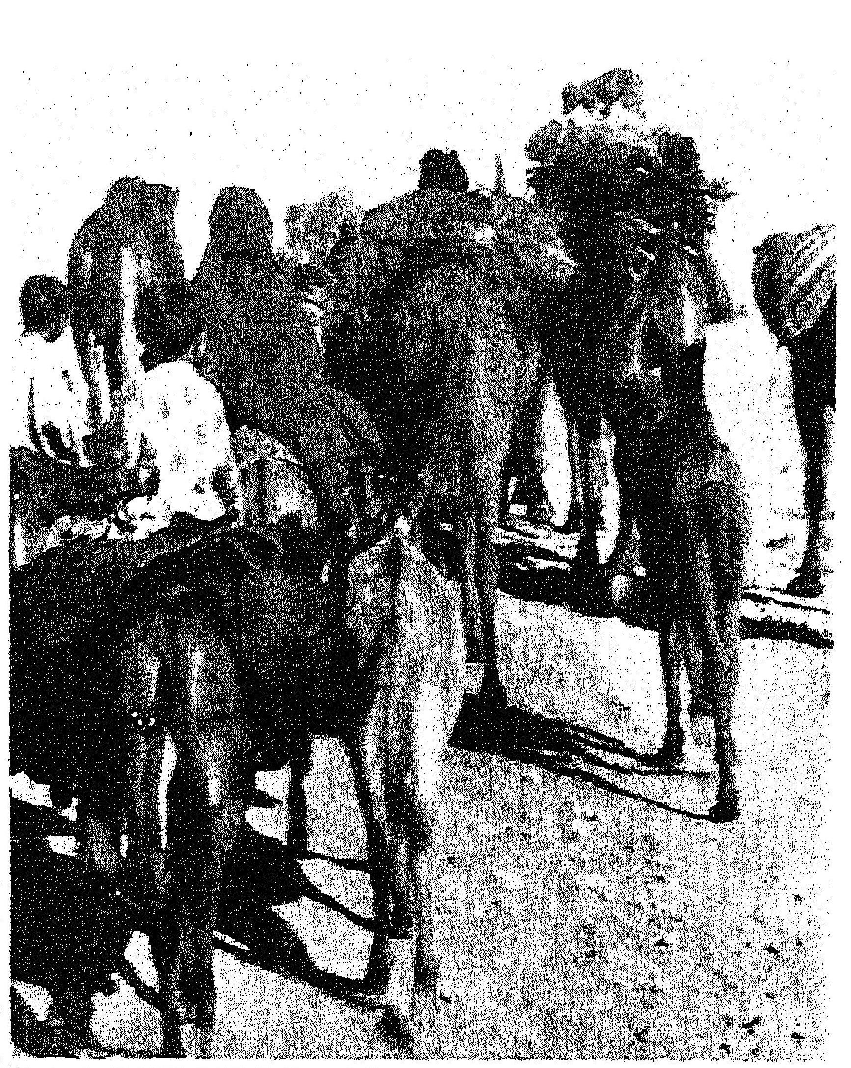 f-b-fredrik-barth-nomads-of-south-persia-21.jpg