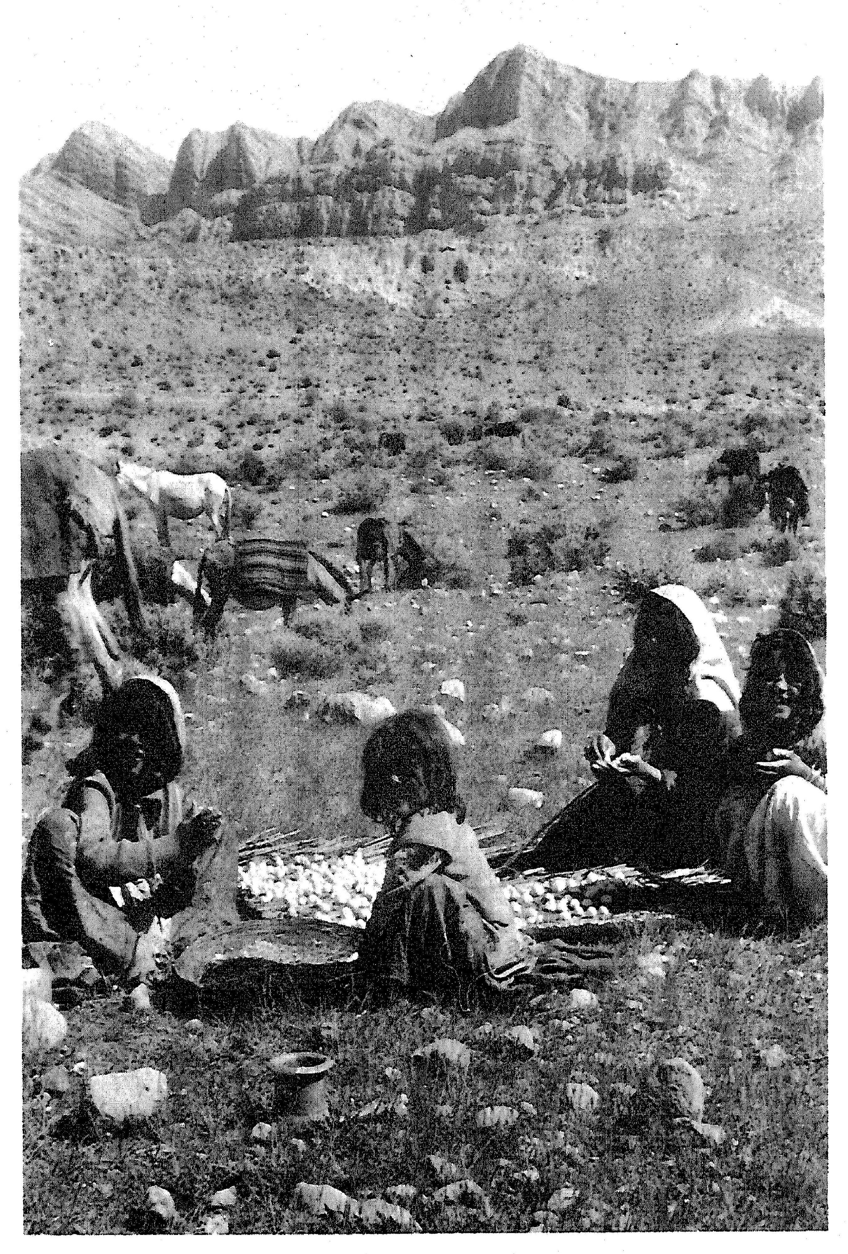 f-b-fredrik-barth-nomads-of-south-persia-27.jpg