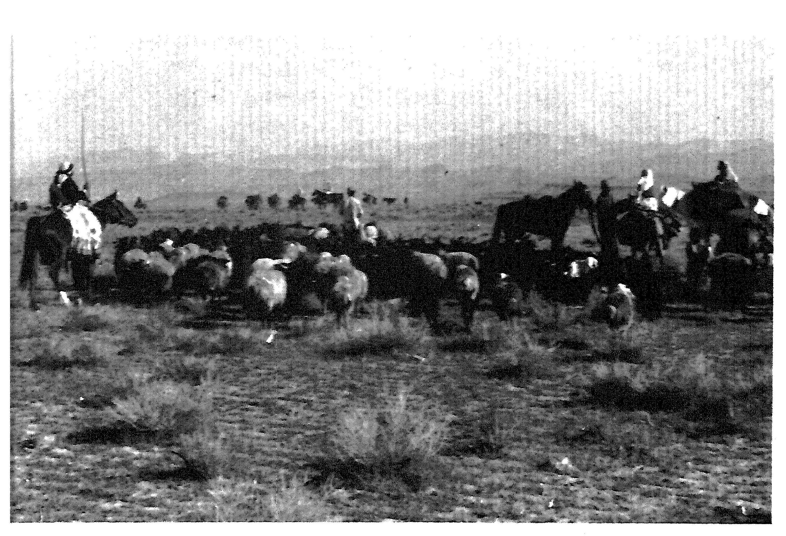 f-b-fredrik-barth-nomads-of-south-persia-8.jpg
