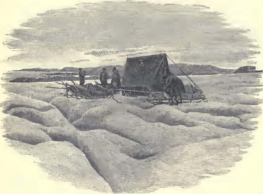 f-n-fridtjof-nansen-the-first-crossing-of-greenlan-80.jpg