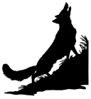 g-l-grace-llewellyn-the-teenage-liberation-handboo-14.png