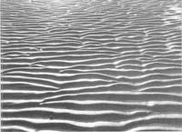 g-m-gavin-maxwell-the-ring-of-bright-water-trilogy-85.jpg
