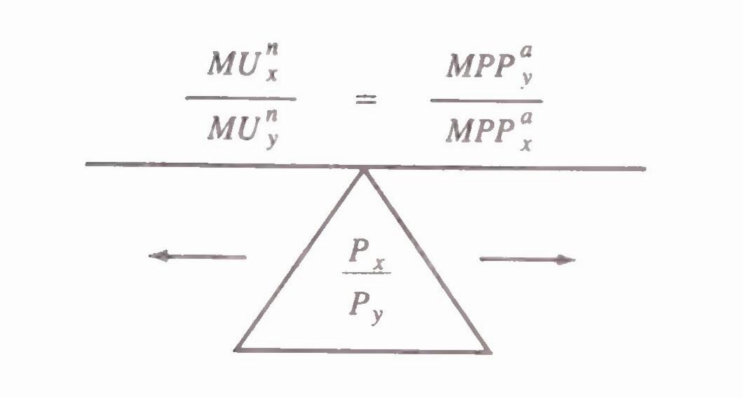 h-e-herman-e-daly-steady-state-economics-10.jpg