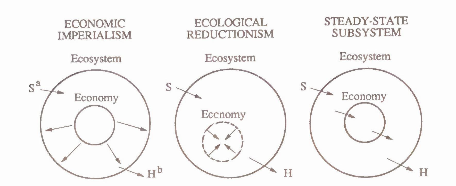 h-e-herman-e-daly-steady-state-economics-12.jpg