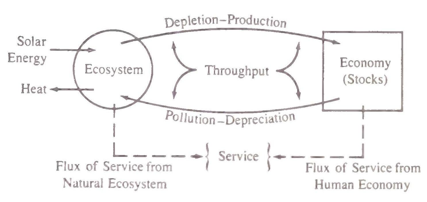 h-e-herman-e-daly-steady-state-economics-13.jpg