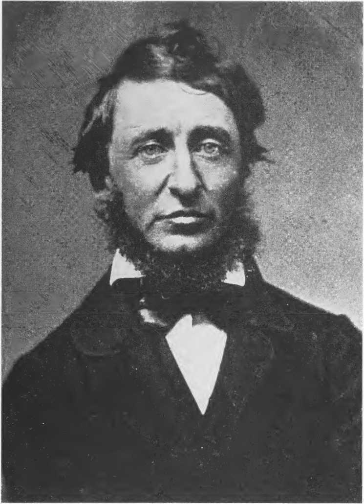 h-l-harmon-l-smith-my-friend-my-friend-20.jpg