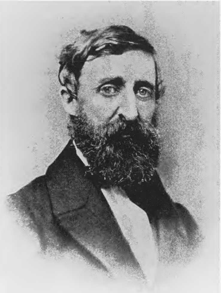 h-l-harmon-l-smith-my-friend-my-friend-23.jpg
