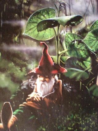i-w-interview-with-elf-founder-john-clark-hanna-3.jpg