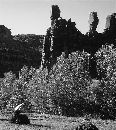 j-d-j-donald-hughes-an-environmental-history-of-th-32.png