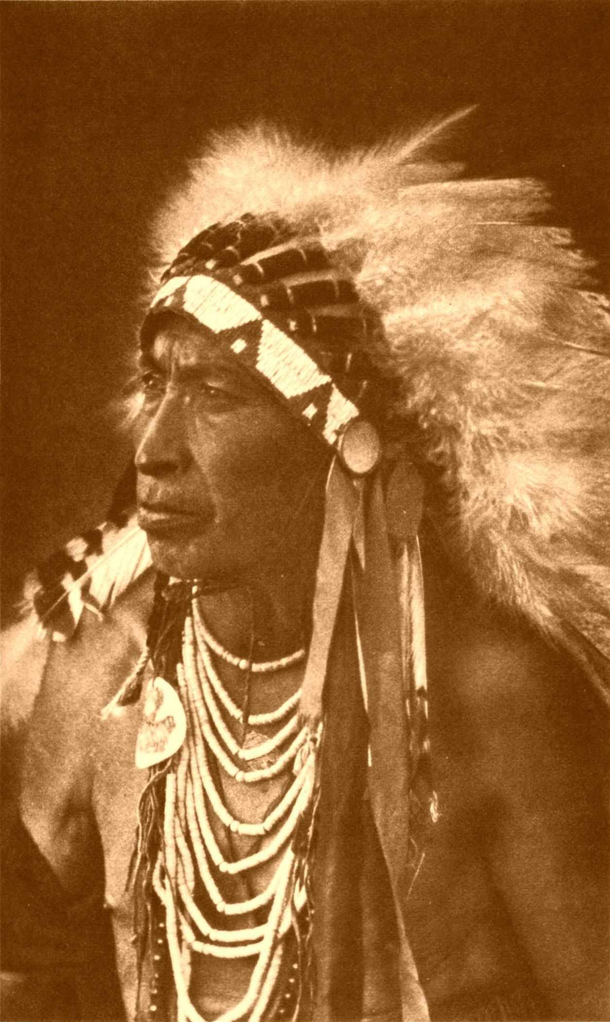 j-k-joseph-k-dixon-the-vanishing-race-176.jpg