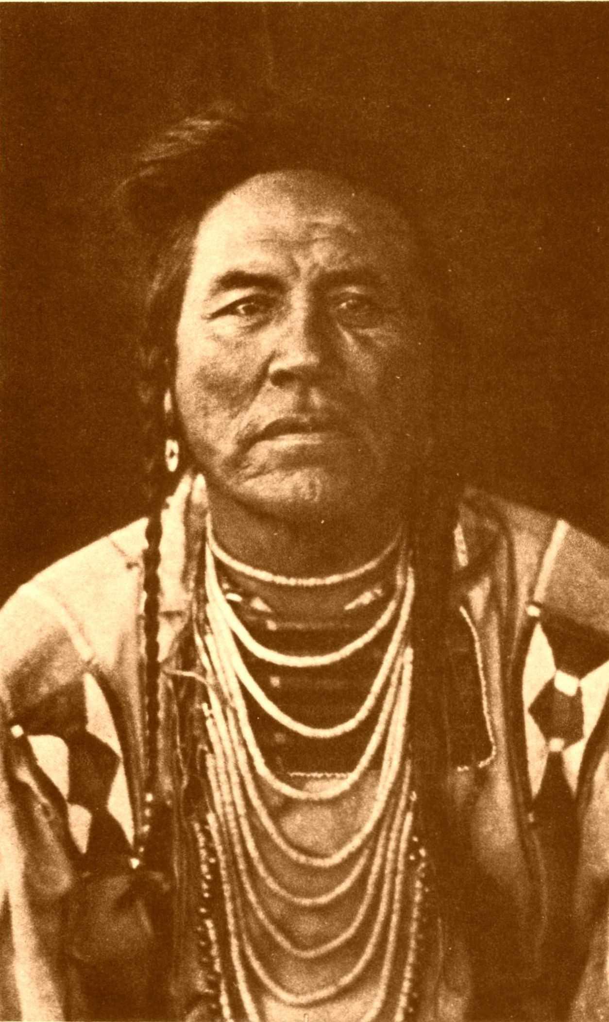 j-k-joseph-k-dixon-the-vanishing-race-177.jpg