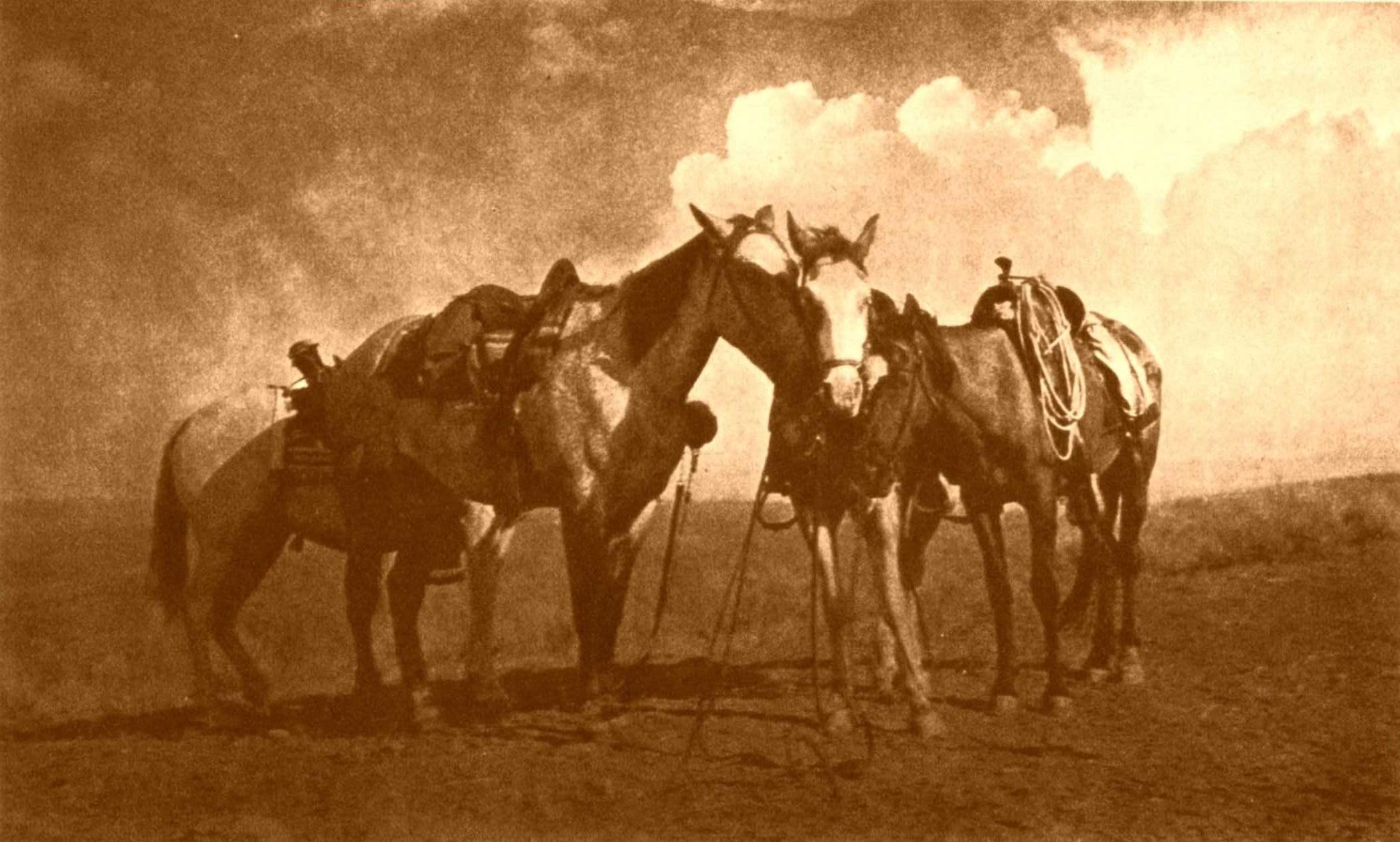 j-k-joseph-k-dixon-the-vanishing-race-196.jpg