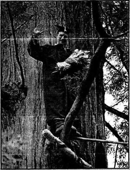 l-c-leprechaun-cascadia-hanging-by-a-thread-eagle-3.jpg