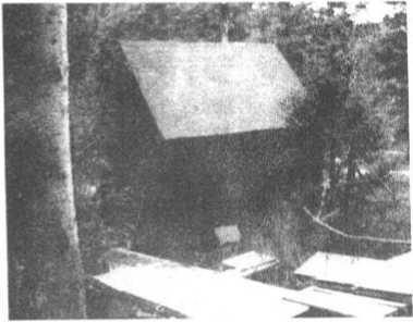 l-h-liu-huaizhao-wang-xiaodong-bombing-civilizatio-22.jpg
