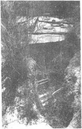 l-h-liu-huaizhao-wang-xiaodong-hong-zha-wen-ming-z-23.jpg