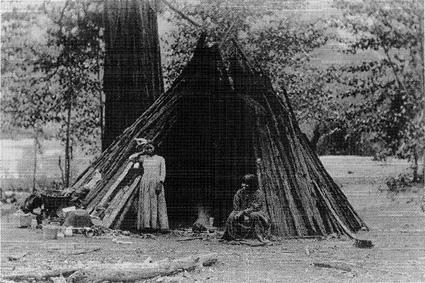 m-d-mark-david-spence-dispossessing-the-wilderness-15.jpg