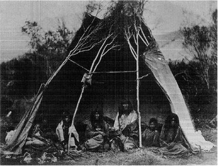 m-d-mark-david-spence-dispossessing-the-wilderness-5.jpg