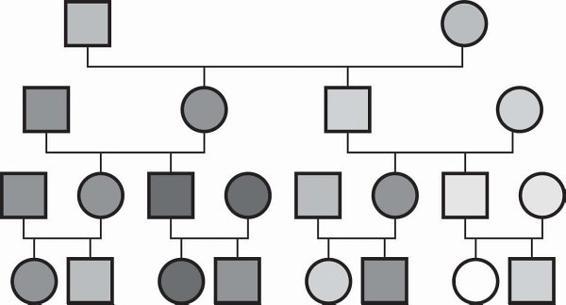 m-e-michael-e-kerr-bowen-theory-s-secrets-34.jpg