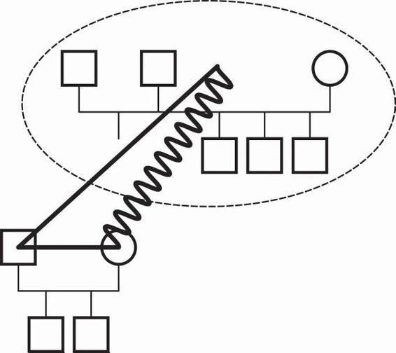 m-e-michael-e-kerr-bowen-theory-s-secrets-48.jpg