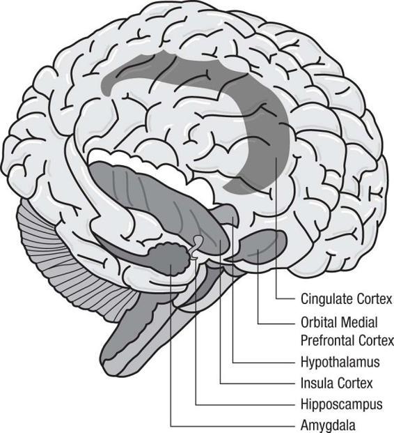 m-e-michael-e-kerr-bowen-theory-s-secrets-6.jpg