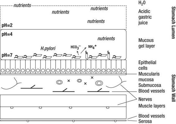 m-e-michael-e-kerr-bowen-theory-s-secrets-68.jpg