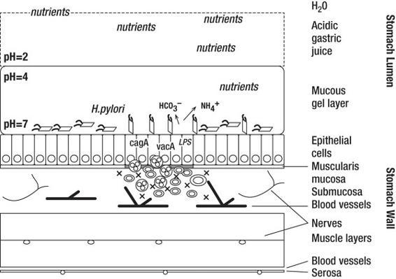 m-e-michael-e-kerr-bowen-theory-s-secrets-69.jpg