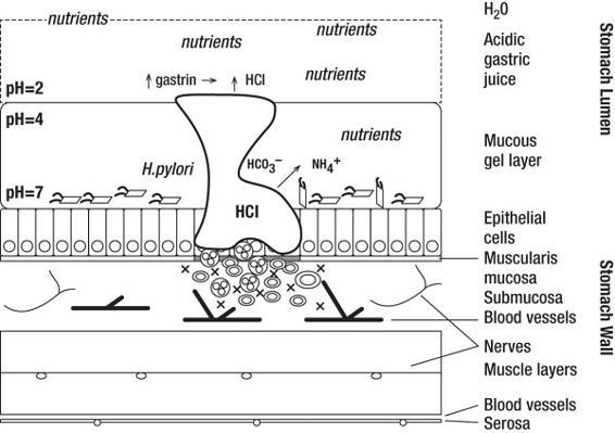 m-e-michael-e-kerr-bowen-theory-s-secrets-70.jpg