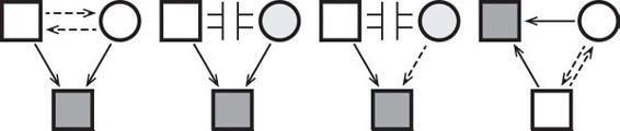 m-e-michael-e-kerr-bowen-theory-s-secrets-9.jpg