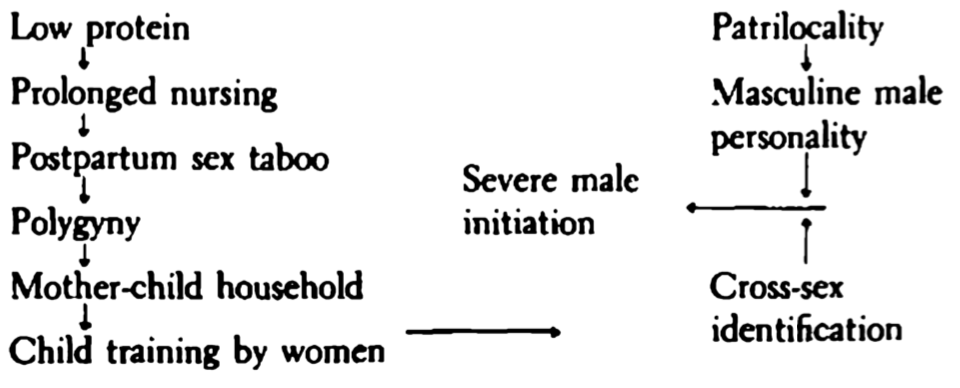 m-h-marvin-harris-cultural-materialism-11.png
