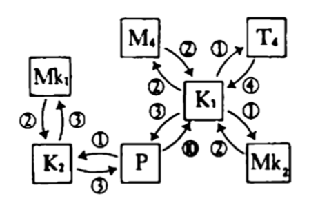 m-h-marvin-harris-cultural-materialism-6.png