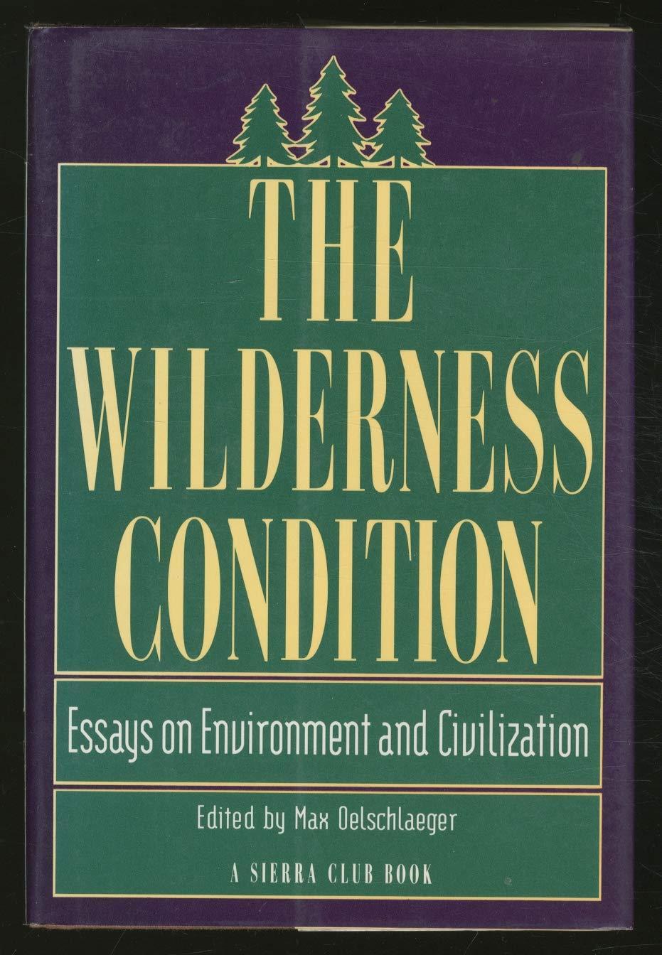 m-o-max-oelschlaeger-the-wilderness-condition-3.jpg