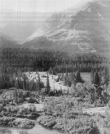 m-d-mark-david-spence-dispossessing-the-wilderness-9.jpg