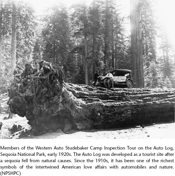 p-s-paul-s-sutter-driven-wild-7.jpg