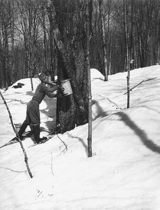 r-k-rebecca-kneale-gould-at-home-in-nature-13.jpg
