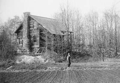 r-k-rebecca-kneale-gould-at-home-in-nature-8.jpg