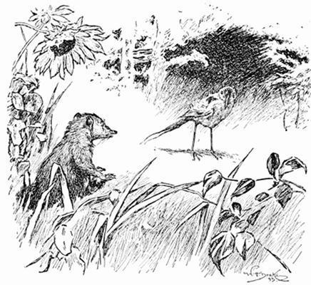 r-k-rudyard-kipling-the-jungle-books-34.jpg
