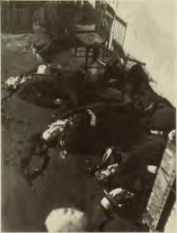 r-l-roger-lane-murder-in-america-21.jpg
