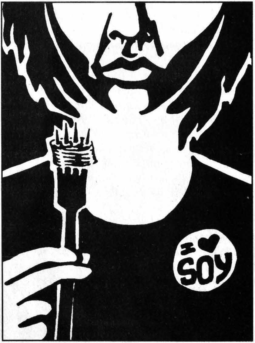 r-s-rik-scarce-a-quarter-century-of-deviance-2.jpg