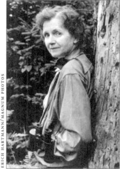 r-c-rachel-carson-silent-spring-24.jpg
