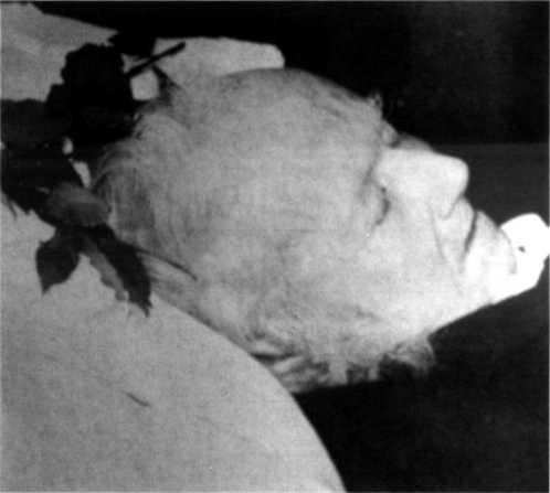 s-f-steven-f-sage-ibsen-and-hitler-4.jpg