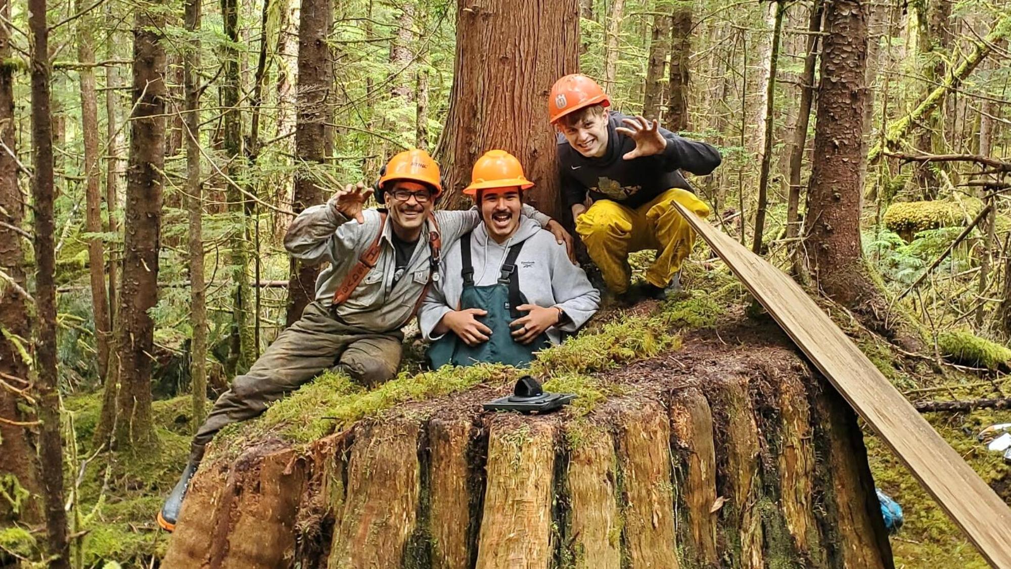 s-g-sonal-gupta-logging-took-trees-the-bears-calle-4.jpg