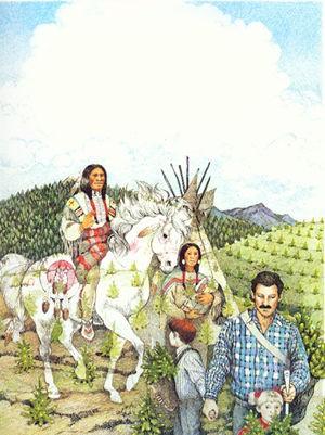 s-j-susan-jeffers-brother-eagle-sister-sky-16.jpg