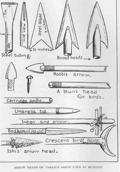 s-t-saxton-t-pope-hunting-with-the-bow-arrow-38.jpg