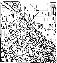 t-c-the-complete-works-of-john-muir-101.png