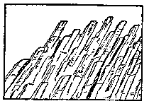 t-c-the-complete-works-of-john-muir-103.png