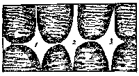 t-c-the-complete-works-of-john-muir-106.png