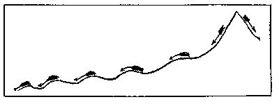 t-c-the-complete-works-of-john-muir-109.png